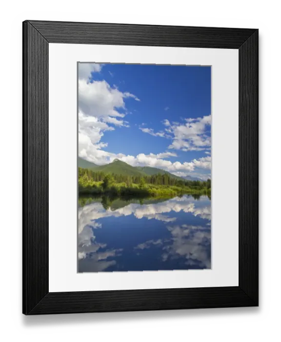 Framed Print : Beaver pond along the Flathead River near Fernie, British Columbia, Canada