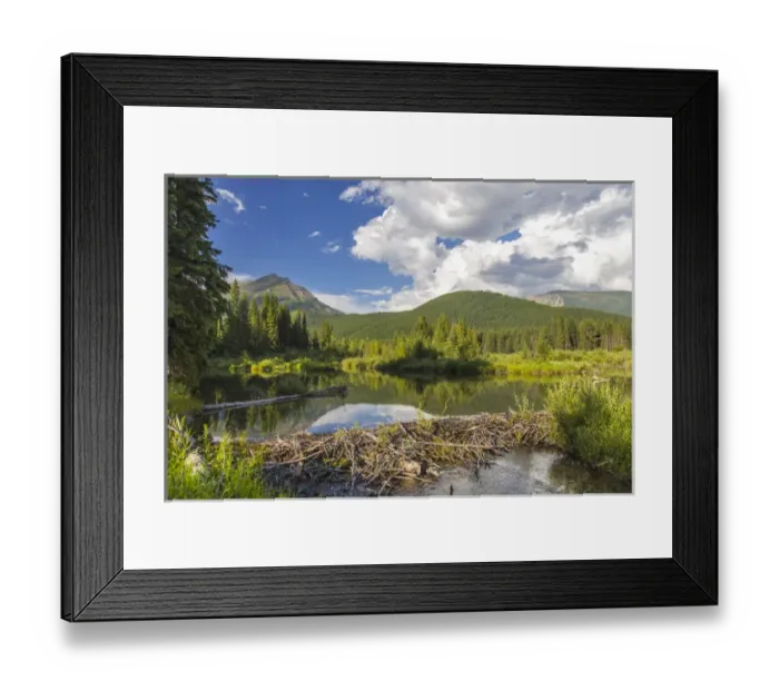 Framed Print : British Columbia; Canada; summer; scenic; landscape; Flathead River; wild; river Framed Print : British Columbia; Canada; summer; scenic; landscape; Flathead River; wild; river