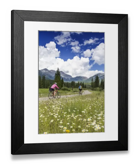 Framed Print : Mountain biking along the Great Divide Route near Fernie, British Columbia, Canada Framed Print : Mountain biking along the Great Divide Route near Fernie, British Columbia, Canada