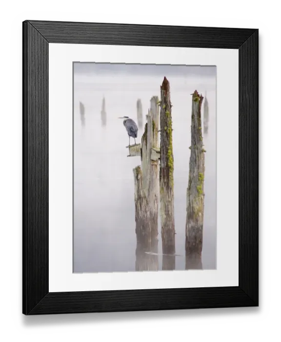 Framed Print : North America, Canada, British Columbia, Vancouver Island
