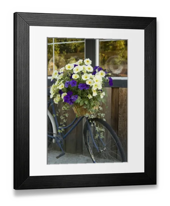Framed Print : North America, Canada, British Columbia, Vancouver Island Framed Print : North America, Canada, British Columbia, Vancouver Island