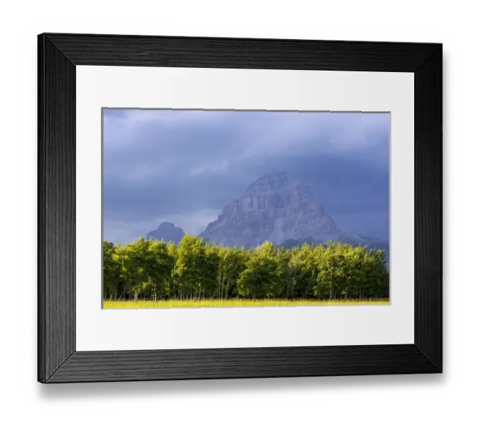 Framed Print : Crowsnest Mountain at Crownest Pass in Alberta, Canada, USA Framed Print : Crowsnest Mountain at Crownest Pass in Alberta, Canada, USA