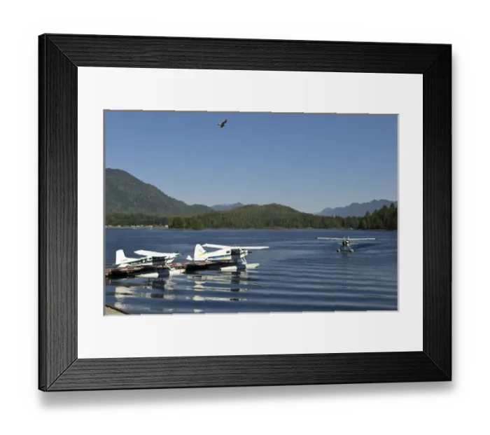 Framed Print : Vancouver Island, Tofino. Seaplanes with seagull flying overhead Framed Print : Vancouver Island, Tofino. Seaplanes with seagull flying overhead