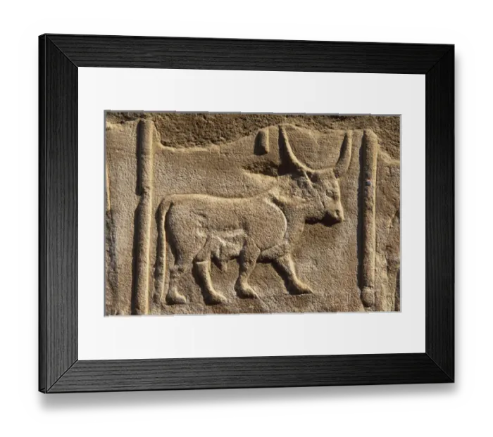 Framed Print : Hieroglyphic writing. EGYPT. Detail of a wall of the first court of Ramses II decorated Framed Print : Hieroglyphic writing. EGYPT. Detail of a wall of the first court of Ramses II decorated