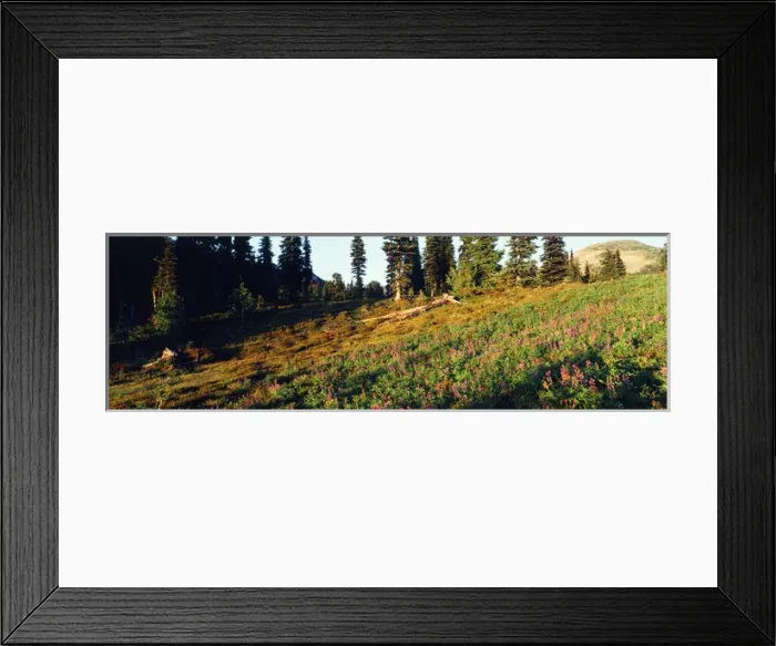 Framed Print : Canada, British Columbia, Squamish, Garibaldi Provincial Park, Garibaldi Lake, View Framed Print : Canada, British Columbia, Squamish, Garibaldi Provincial Park, Garibaldi Lake, View