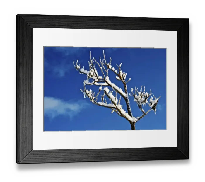 Framed Print : Winter frost. Winter in British Columbia brings a variety of landscapes and closeups