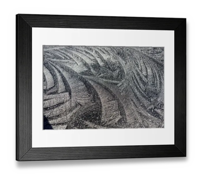 Framed Print : Frost patterns. Winter in British Columbia brings a variety of landscapes and closeups