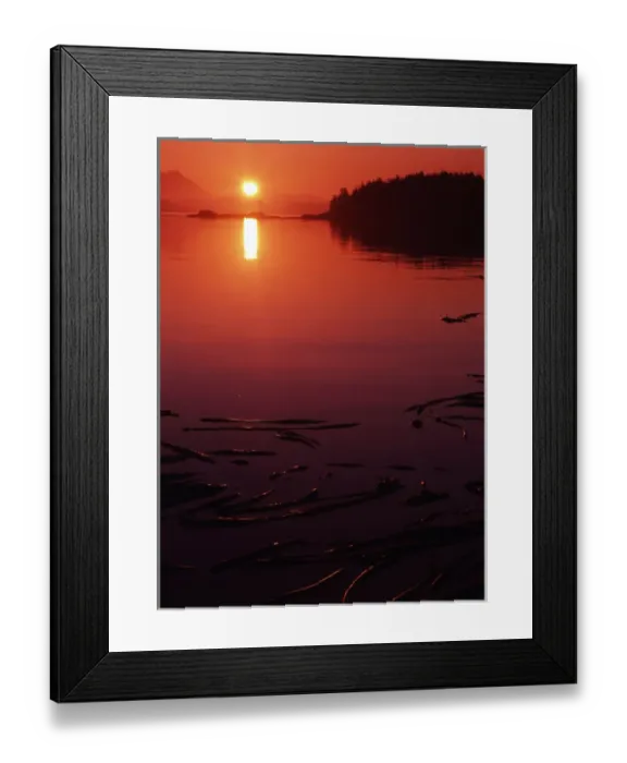 Framed Print : Canada, British Columbia, Vancouver Island, View of beach at sunset