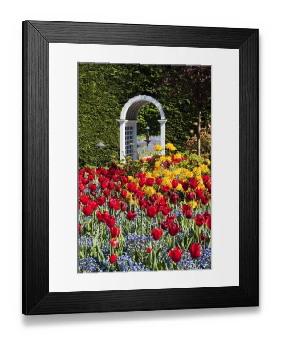 Framed Print : North America; Canada BC; Victora; Summer in Hately Gardens