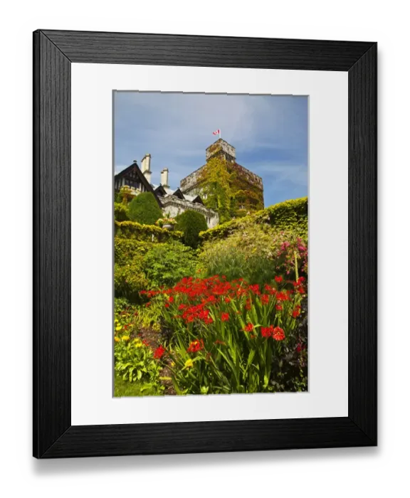 Framed Print : North America; Canada BC; Victora; Summer in Hately Gardens Framed Print : North America; Canada BC; Victora; Summer in Hately Gardens