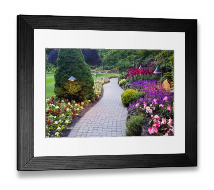 Framed Print : North America; Canada; BC; Victoria; Butchard Gardens In Full Bloom Framed Print : North America; Canada; BC; Victoria; Butchard Gardens In Full Bloom