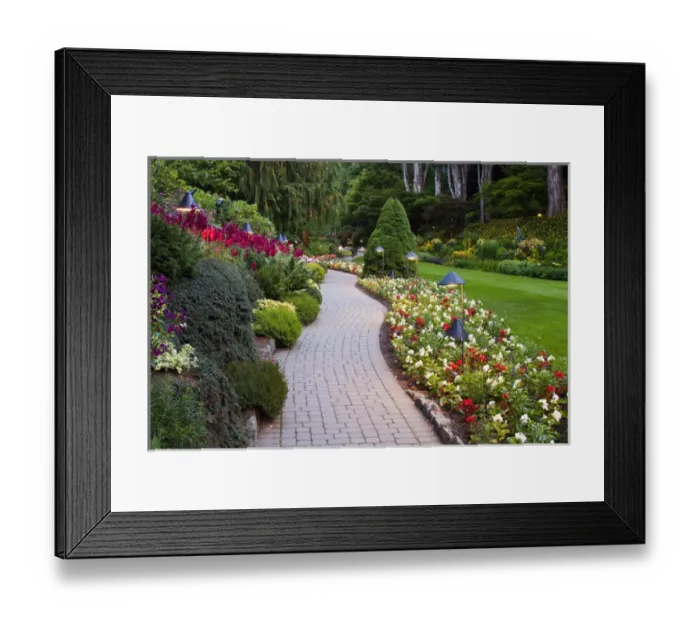 Framed Print : North America; Canada; BC; Victoria; Butchard Gardens In Full Bloom Framed Print : North America; Canada; BC; Victoria; Butchard Gardens In Full Bloom