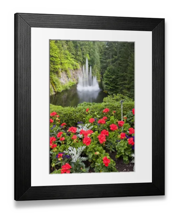 Framed Print : North America; Canada; BC; Victoria; Butchard Gardens In Full Bloom Framed Print : North America; Canada; BC; Victoria; Butchard Gardens In Full Bloom
