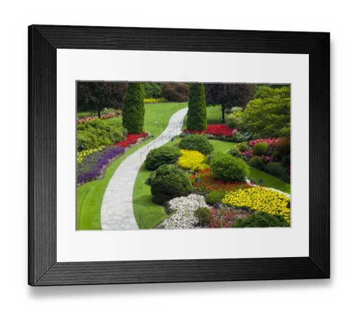 Framed Print : North America; Canada; BC; Victoria; Butchard Gardens In Full Bloom Framed Print : North America; Canada; BC; Victoria; Butchard Gardens In Full Bloom