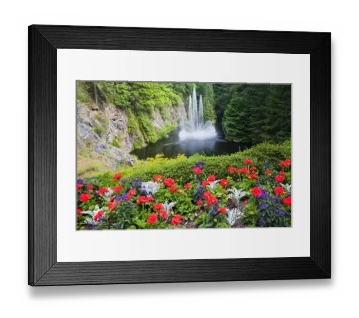 Framed Print : North America; Canada; BC; Victoria; Butchard Gardens In Full Bloom Framed Print : North America; Canada; BC; Victoria; Butchard Gardens In Full Bloom