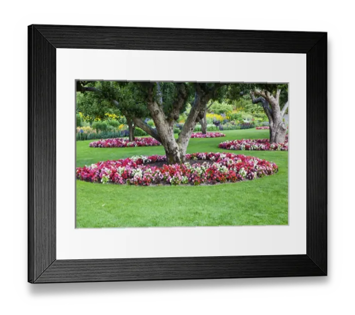 Framed Print : North America; Canada; BC; Victoria; Butchard Gardens In Full Bloom