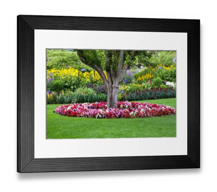 Framed Print : North America; Canada; BC; Victoria; Butchard Gardens In Full Bloom Framed Print : North America; Canada; BC; Victoria; Butchard Gardens In Full Bloom