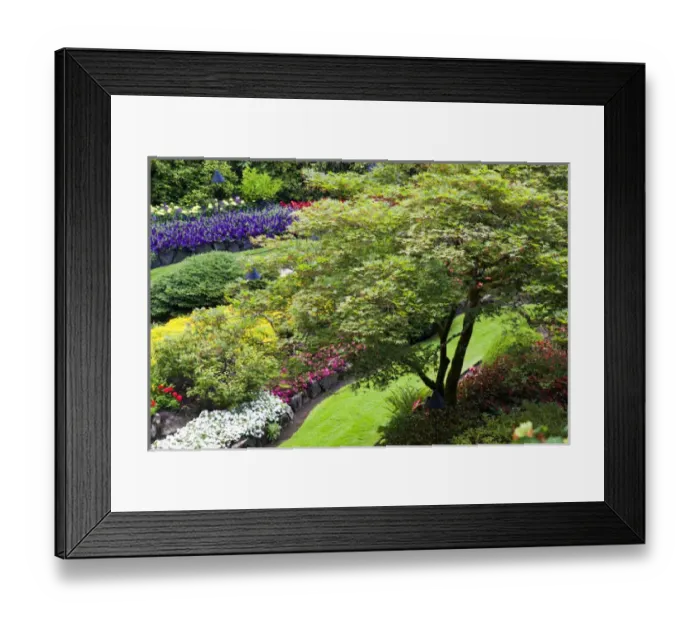 Framed Print : North America; Canada; BC; Victoria; Butchard Gardens In Full Bloom Framed Print : North America; Canada; BC; Victoria; Butchard Gardens In Full Bloom