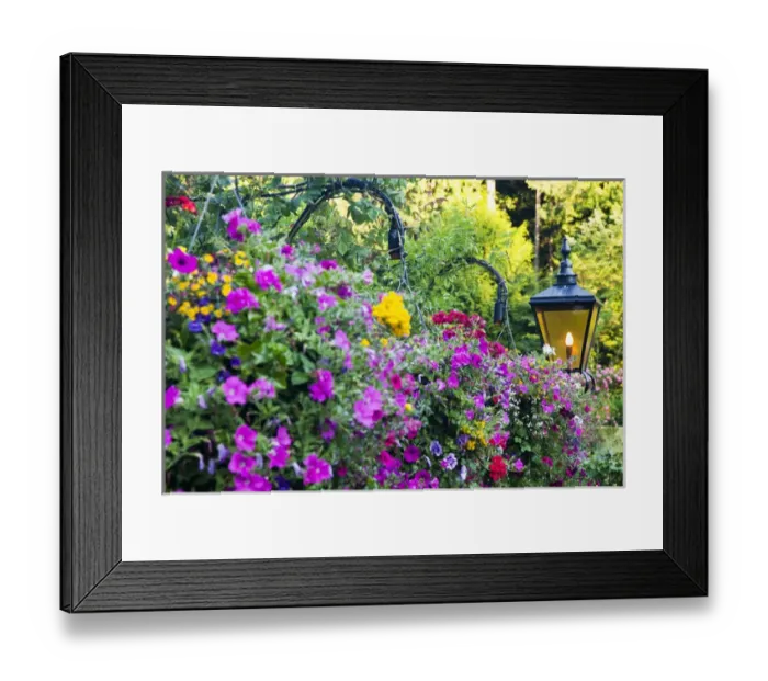 Framed Print : North America; Canada; BC; Victoria; Butchard Gardens In Full Bloom Framed Print : North America; Canada; BC; Victoria; Butchard Gardens In Full Bloom