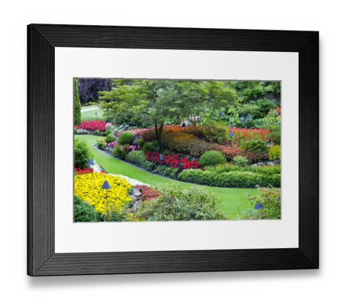 Framed Print : North America; Canada; BC; Victoria; Butchard Gardens In Full Bloom Framed Print : North America; Canada; BC; Victoria; Butchard Gardens In Full Bloom
