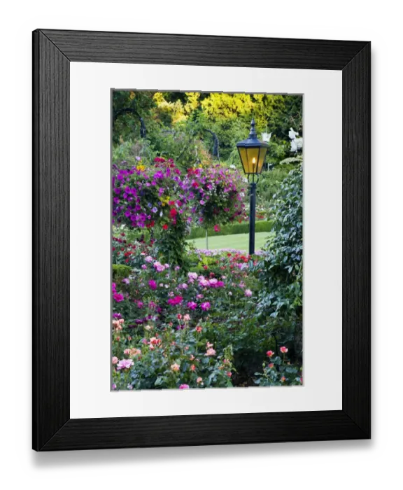 Framed Print : North America; Canada; BC; Victoria; Butchard Gardens In Full Bloom Framed Print : North America; Canada; BC; Victoria; Butchard Gardens In Full Bloom
