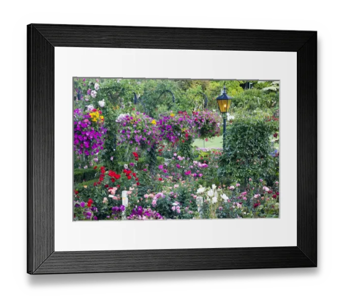 Framed Print : North America; Canada; BC; Victoria; Butchard Gardens In Full Bloom Framed Print : North America; Canada; BC; Victoria; Butchard Gardens In Full Bloom