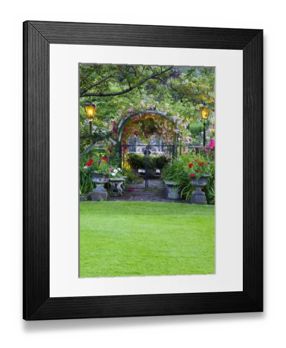 Framed Print : North America; Canada; BC; Victoria; Rose Garden at Butchard Gardens In Full Bloom Framed Print : North America; Canada; BC; Victoria; Rose Garden at Butchard Gardens In Full Bloom