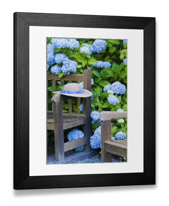Framed Print : North America; Canada; Victoria; Gardens at Governors House Victoria, Bench with Old Hat