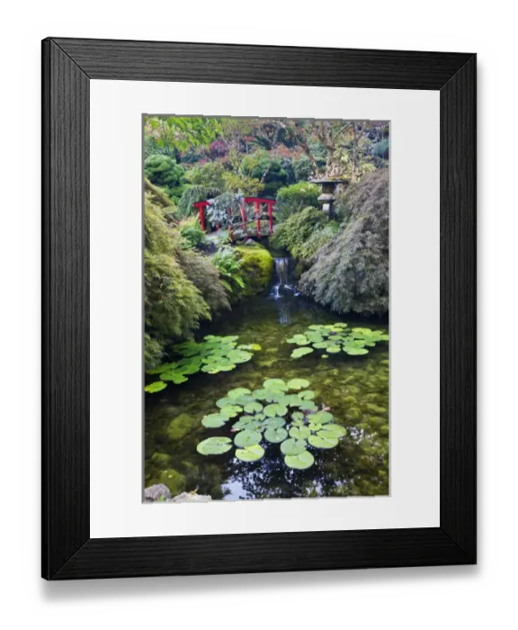 Framed Print : North America; Canada; Victoria; Burchard Gardens; Autumn Color at Butchard Gardens Framed Print : North America; Canada; Victoria; Burchard Gardens; Autumn Color at Butchard Gardens