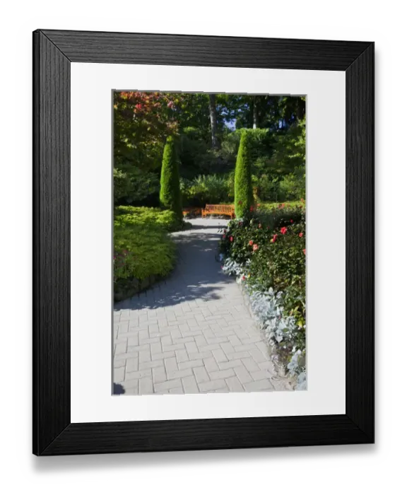 Framed Print : North America; Canada; Victoria; Burchard Gardens; Autumn Color at Butchard Gardens Framed Print : North America; Canada; Victoria; Burchard Gardens; Autumn Color at Butchard Gardens