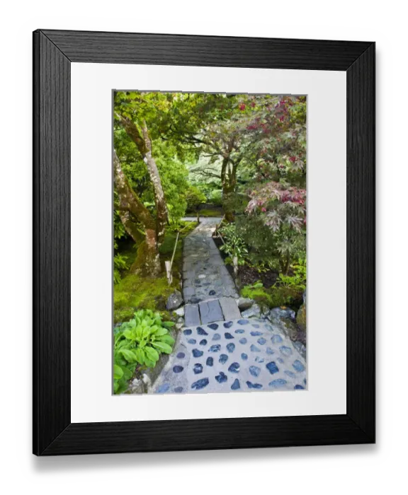 Framed Print : North America; Canada; Victoria; Burchard Gardens; Autumn Color at Butchard Gardens Framed Print : North America; Canada; Victoria; Burchard Gardens; Autumn Color at Butchard Gardens