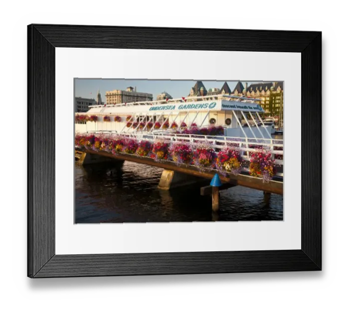 Framed Print : North America; Canada; British Columbia; Victoria; Undersea Gardens at Victoria Bay Framed Print : North America; Canada; British Columbia; Victoria; Undersea Gardens at Victoria Bay
