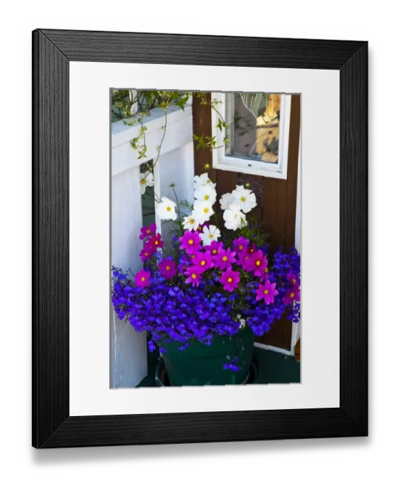 Framed Print : North America; Canada; Victoria; Decorations on House boats Framed Print : North America; Canada; Victoria; Decorations on House boats