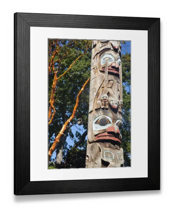 Framed Print : North America; Canada; British Columbia; Victoria; Totem Pole Park