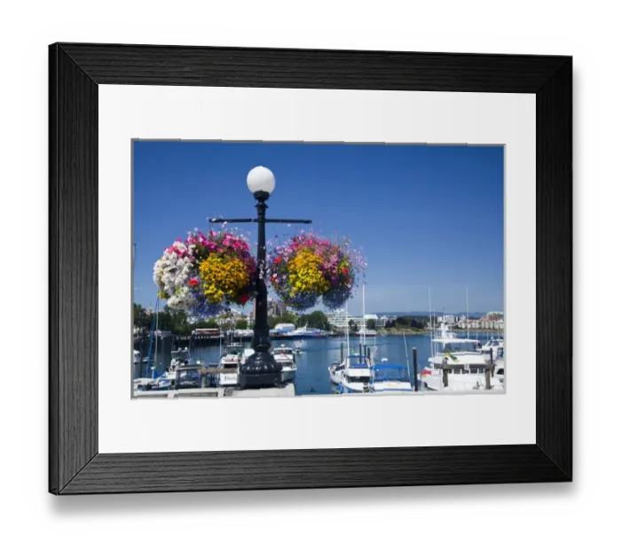 Framed Print : North America; Canada; British Columbia; Victoria; Boat Harbor and Summer Flower Baskets Framed Print : North America; Canada; British Columbia; Victoria; Boat Harbor and Summer Flower Baskets