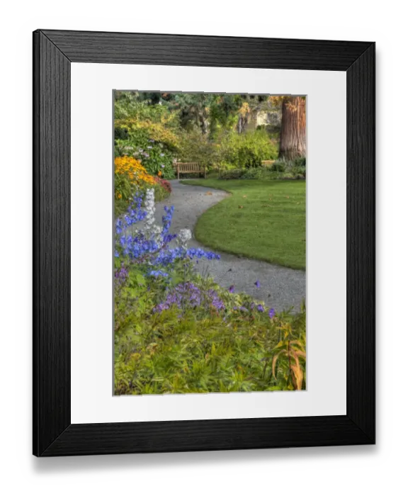 Framed Print : North America; Canada; Vancouver Island; Garden Trail through Hately Gardens Framed Print : North America; Canada; Vancouver Island; Garden Trail through Hately Gardens