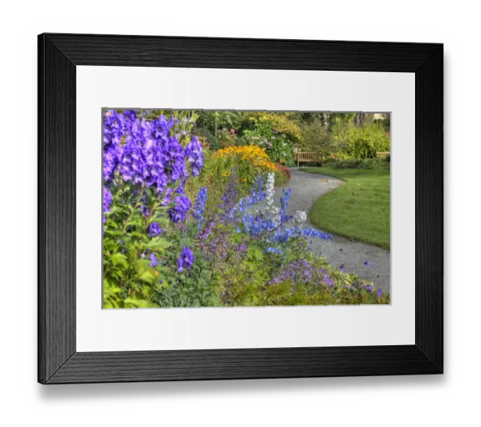 Framed Print : North America; Canada; Vancouver Island; Garden Trail through Hately Gardens