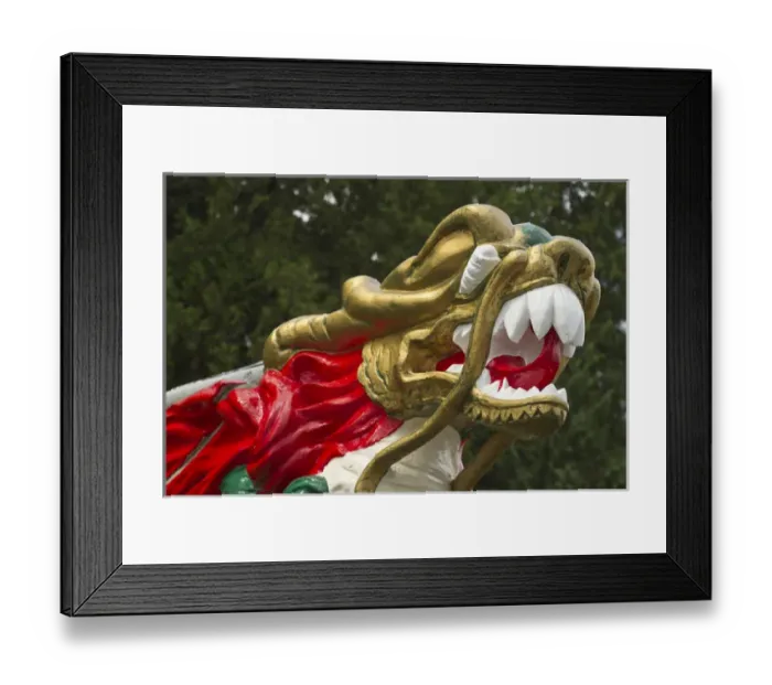 Framed Print : Chinese dragonboat figurehead, Stanley Park, Vancouver, British Columbia, Canada Framed Print : Chinese dragonboat figurehead, Stanley Park, Vancouver, British Columbia, Canada