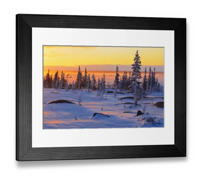 Framed Print : Canada, Manitoba, Churchill, Hudson Bay. Sunrise on snowy tundra