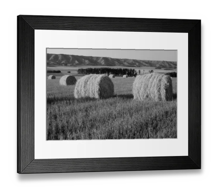 Framed Print : Canada, Manitoba, View of rolled hay bales in field Framed Print : Canada, Manitoba, View of rolled hay bales in field