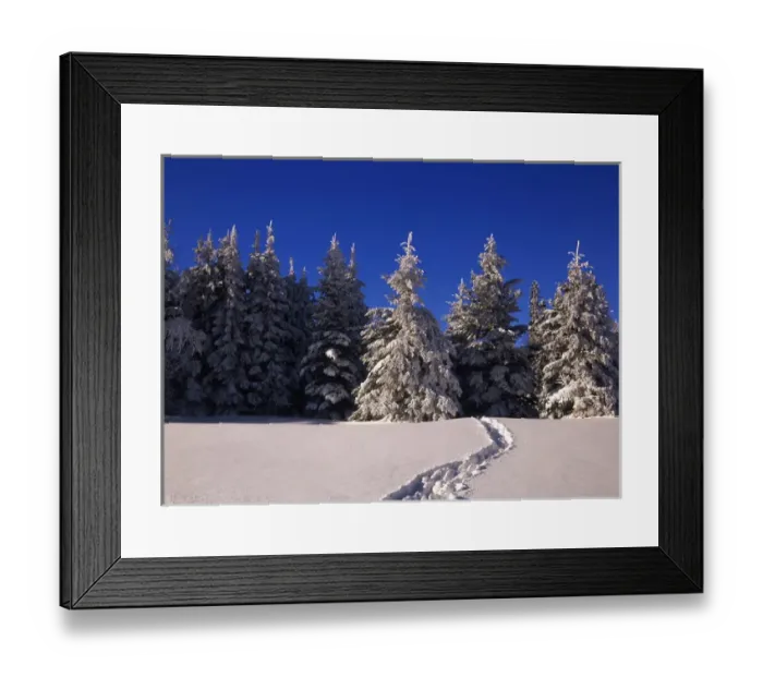 Framed Print : Canada, Manitoba, View of Riding Mountain National Park Framed Print : Canada, Manitoba, View of Riding Mountain National Park