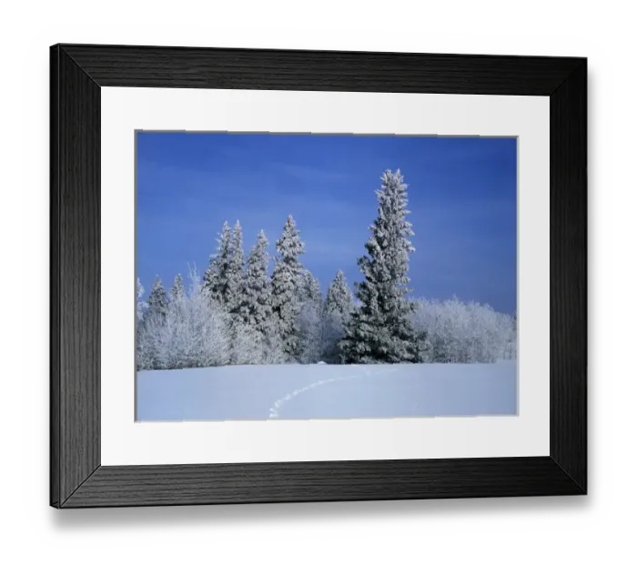 Framed Print : Canada, Manitoba, View of Birds Hill Provincial Park Framed Print : Canada, Manitoba, View of Birds Hill Provincial Park
