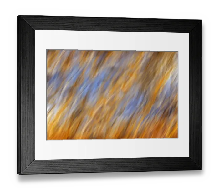 Framed Print : Canada, Manitoba, Birds Hill Provincial Park. Abstract of autumn leaves and sky. Credit as