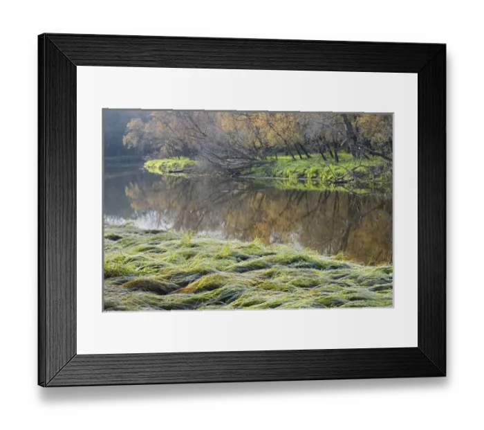 Framed Print : Canada. Manitoba. Autumn on shore of LaSalle River Framed Print : Canada. Manitoba. Autumn on shore of LaSalle River