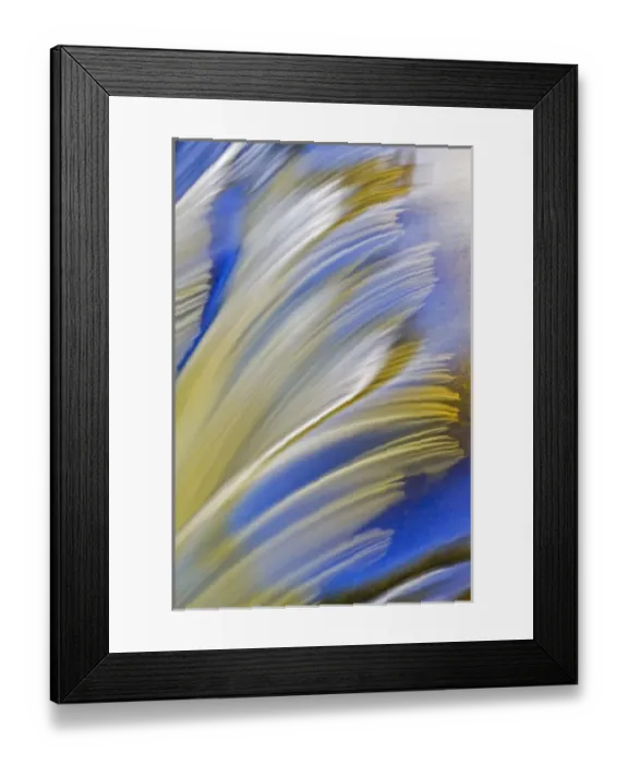 Framed Print : Canada, Manitoba. Whiteshell River at Rainbow Falls Framed Print : Canada, Manitoba. Whiteshell River at Rainbow Falls