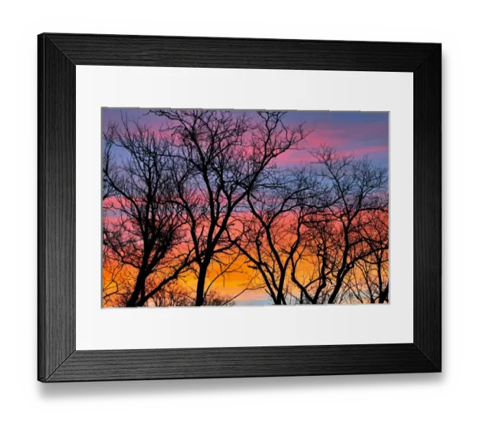 Framed Print : Canada, Manitoba. Trees at sunrise. Credit as: Mike Grandmaison / Jaynes Gallery / DanitaDelimont Framed Print : Canada, Manitoba. Trees at sunrise. Credit as: Mike Grandmaison / Jaynes Gallery / DanitaDelimont