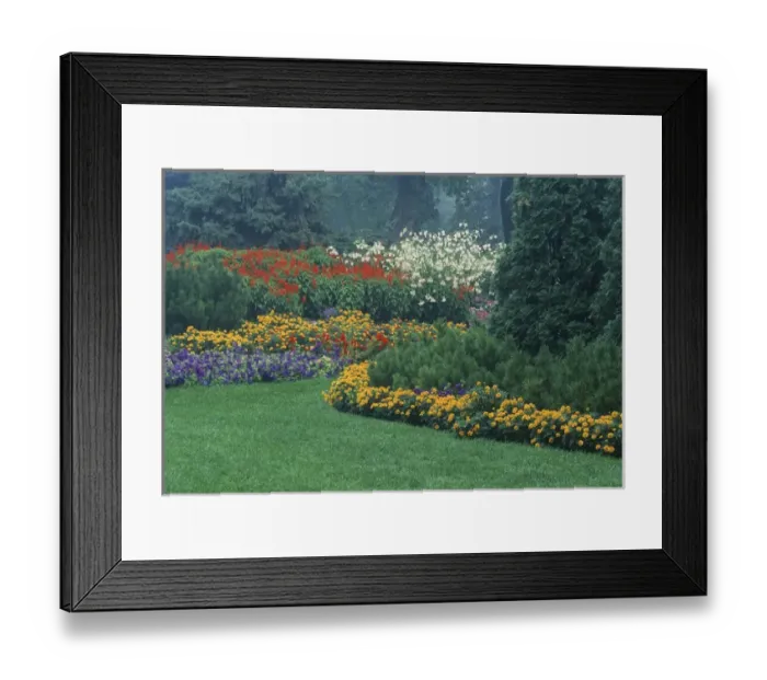 Framed Print : Canada, Manitoba, Winnipeg. Urban garden in light fog Framed Print : Canada, Manitoba, Winnipeg. Urban garden in light fog