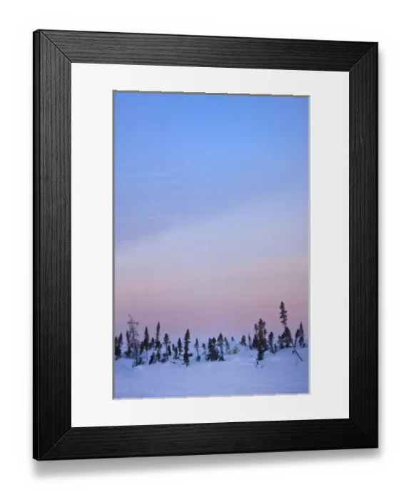 Framed Print : Snow-covered tundra, Wapusk National Park, Manitoba, Canada Framed Print : Snow-covered tundra, Wapusk National Park, Manitoba, Canada