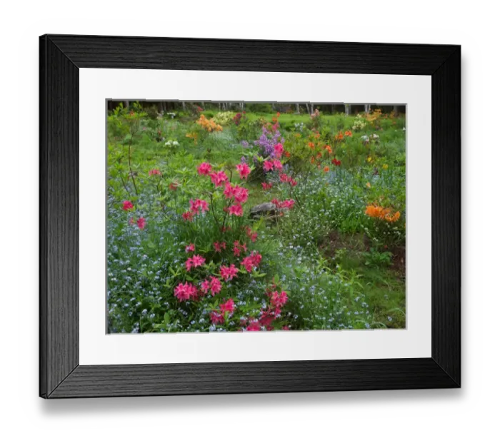 Framed Print : Canada, New Brunswick, Kingston, Shampers Bluff Framed Print : Canada, New Brunswick, Kingston, Shampers Bluff
