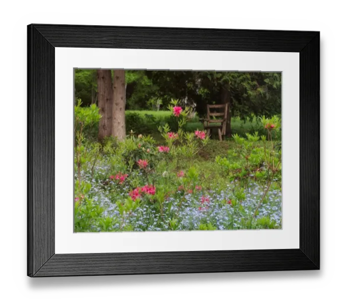 Framed Print : Canada, New Brunswick, Kingston, Shampers Bluff. Scenic of garden and forest. Credit as Framed Print : Canada, New Brunswick, Kingston, Shampers Bluff. Scenic of garden and forest. Credit as